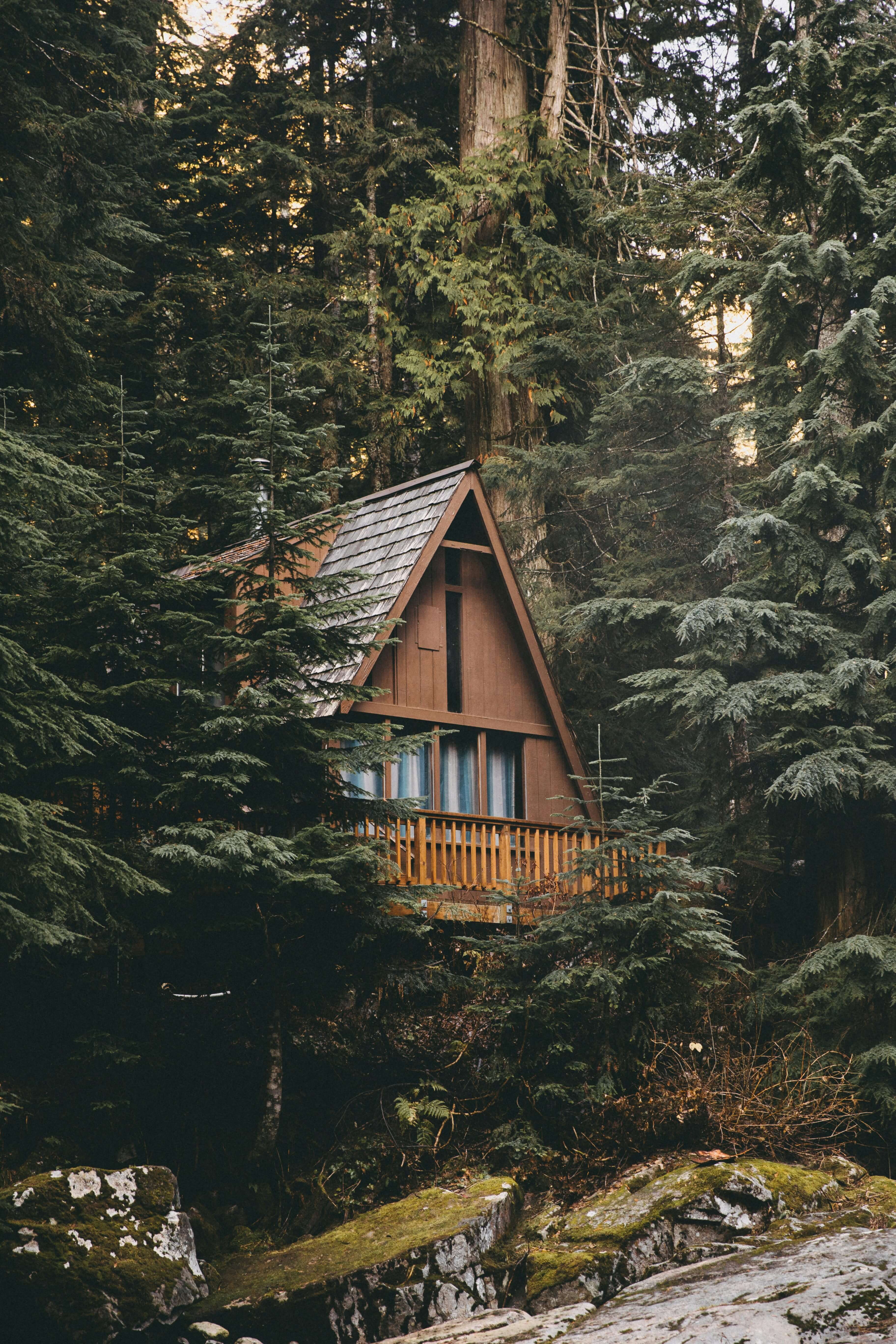 Cabaña en el bosque